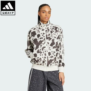 yzAfB_X adidas ԕi CtX^C AfB_X IWiX Te gbNgbv IWiX jZbNX EFAE W[W KA2683