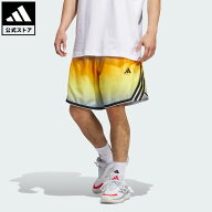 【30％OFFクーポン対象 09/15 0:00～09/25 23:59】 【公式】アディダス adidas 返品可 バスケットボール …