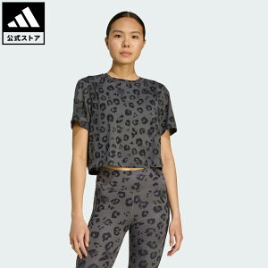 yzAfB_X adidas ԕi WEg[jO [NAEg GbZVY TVc vg ptH[}X fB[X EFAE TVc O[ JN2646