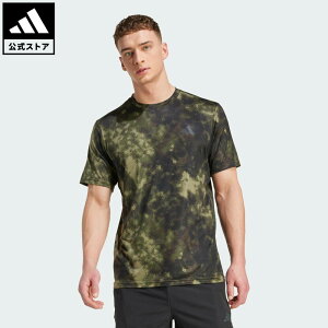 yzAfB_X adidas ԕi WEg[jO gC GbZVY V[Yi vgTVc ptH[}X Y EFAE TVc  O[ JV7234