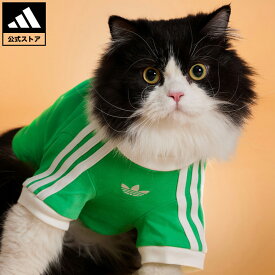 【公式】アディダス adidas ソーシャルギフト対象 ライフスタイル ペット Tシャツ オリジナルス ユニセックス アクセサリー ペットウエア 緑 グリーン KY8730