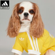 【ポイント20倍 09/15 00:00～09/25 23:59】 【公式】アディダス adidas ソーシャルギフト対象 ライフス…