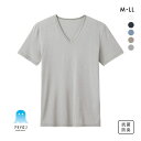 20％OFF【メール便(30)】 グンゼ GUNZE アセドロン Vネック 半袖 Tシャツ インナー メンズ ADIEU 全5色 M-LL