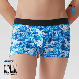 20％OFF【メール便(10)】 グンゼ GUNZE ボディワイルド BODY WILD パラリンアートコラボ ボクサーパンツ 日本製 メンズ 前とじ 吸汗速乾 ADIEU 全3色 M-L