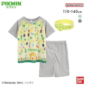 25OFF sN~ ECłI 锼pW} ㉺Zbg WjA LbY ECOt 110 120 130 140 PIKMIN ADIEU S2F 110-140