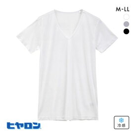 ヒヤロン メンズ Tシャツ Vネック 半袖 メッシュ シャツ インナー M L LL 接触冷感 大きいサイズ ADIEU 全3色 M-LL