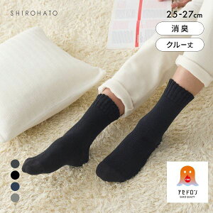 10OFF O[ t@C[AZh N[ tpC \bNX Y C GUNZE M ۉ ADIEU S4F