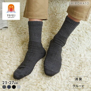 10OFF O[ t@C[AZh 3w\ [\bNX N[ \bNX bO Y C GUNZE Ƃ ADIEU S4F