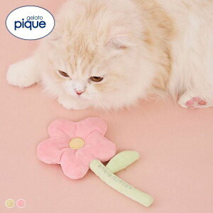 �y���[����(25)�z �W�F���[�g�s�P CAT&DOG �X�v�����O���`�[�t�g�C �W�F���s�P gelato pique �L�̓� ADIEU �S2�F