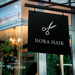 _ő40%ItN[|^ACA ŔyHzyf[^ezGNXeA ACATC tFX v^[  aian-12