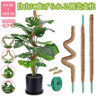 観葉植物 支柱 園芸支柱 曲げられる ココスティック モンステラ支柱 モンステラ 園芸用 植物 ココナッツ…