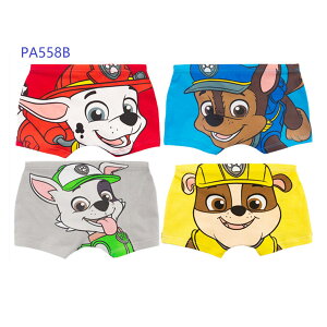 pc  qpc ǂ j̎q {[CY q w LbY   A_[EFA 4Zbg R hL 95% Rbg95% 100 110 120 130 pEpg[  K G肪