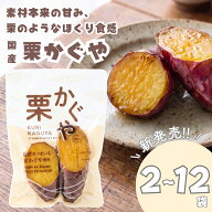 【100名限定20%OFFクーポン】夏 スイーツ 栗かぐや さつまいも 【栗かぐや 選べる個数】吾妻食品 国産 ギ…