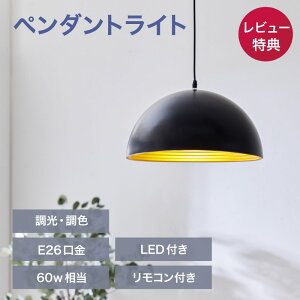 y11/4 20` XSiP10{zy_gCg 1 LEDd Rt  F VƖ E26  Ɩ ݂艺 |V[O  _ ubN S[h uY JtF 