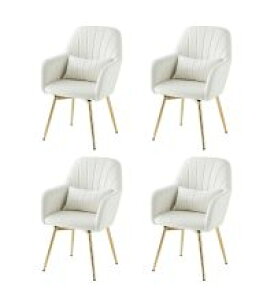 y11/4 20` XSiP10{z _CjO`FA It ] It 1r 2rZbg 4rZbg  ɂ O[ sN x[W zCg r S[h ]`FA _CjO `F