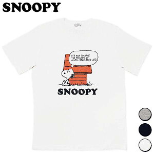 Xk[s[ TVc hbOnEX fB[X Y EFA gbvX