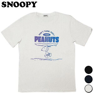 Xk[s[ TVc T[t{[h fB[X Y EFA gbvX