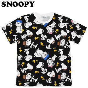 Xk[s[ TVc `V/uU[ fB[X Y EFA gbvX