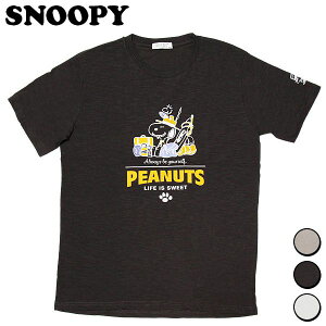 Xk[s[ TVc ̉ו fB[X Y EFA gbvX