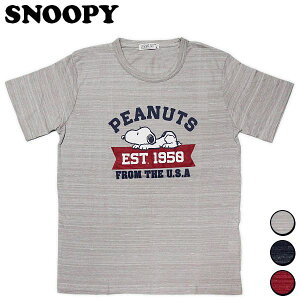 Xk[s[ TVc S/ۃ{[_[ fB[X Y EFA gbvX