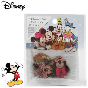 ~bL[}EXtY `AtRNgXebJ[Y 23 fB[X LbY [