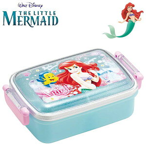 gE}[Ch ӂƃt^^Cg`{bNX 24 LbY R H@Ή H RBF3ANAG