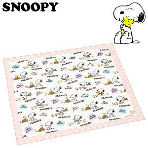 �X�k�[�s�[ �����`�N���X 80�fs�J�t�F �L�b�Y �����`�����}�b�g KB4