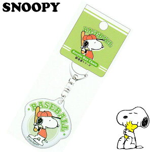 Xk[s[ L[z_[ 싅 fB[X LbY G