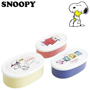 Xk[s[ V[e3PZbg XP[g{[h LbY fB[X R ٓ H SRS3SAG