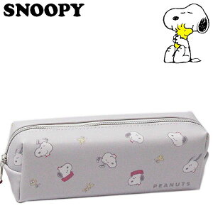 Xk[s[ XBOXyP[X `V fB[X LbY 