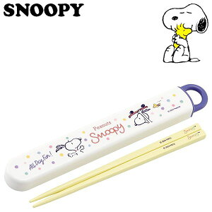 Xk[s[ XChZbg XP[g{[h LbY R H@Ή H ABS2AMAG