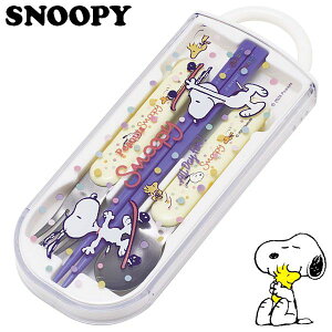 Xk[s[ XChgIZbg XP[g{[h LbY R H@Ή H TACC2AG