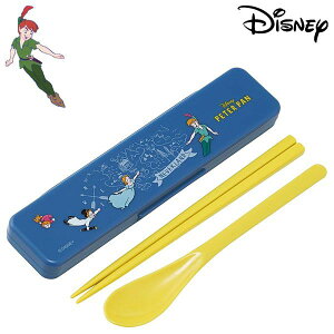 s[^[Ep ̖ȂRrZbg 25 fB[X LbY R H@Ή H CCS3SAAG