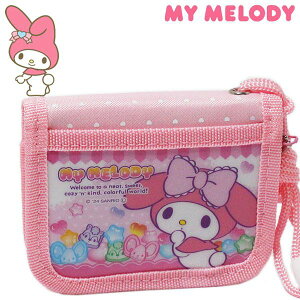 }CfB RFEHbg 24 PK LbY ܂TCt