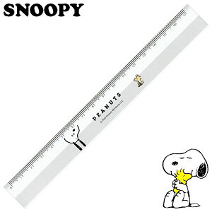 Xk[s[ X17cmK  fB[X LbY [