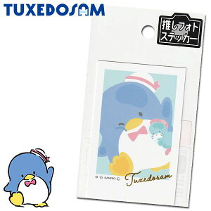 ^LV[hT tHgXebJ[ 25 fB[X LbY [