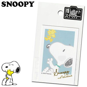 Xk[s[ tHgXebJ[ EbhXgbN fB[X LbY [