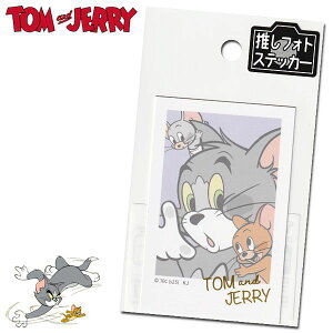 gƃWF[ tHgXebJ[ 25 fB[X LbY [