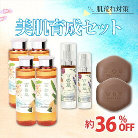 【購入特典付｜肌荒れ対策】美肌育成セット 石けん 化粧水 美容液 特典付 ニキビ ケア ニキビケア 洗顔 泡洗顔 固形 石鹸 にきび ニキビ跡 毛穴 小鼻 黒ずみ 乾燥肌 敏感肌 天然素材 漢方 和漢植物 配合 レディース メンズ 乾燥 対策