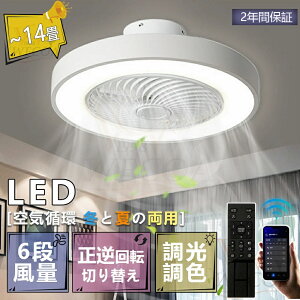 y2Nԕۏ؁zV[Ot@Cg led F k R V[Ot@ rO dc[^[ ^ y t@ 10 12 Cz Cg  V[OCg @