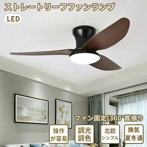 _Ԍ20%OFFI^LEDV[Ot@Cg t  EFC  Ɩ VƖ t  Rt  F  3u[h 3H H̉]x @ Ԑ