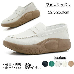 fB[XXj[J[ 3.5cm q[ r  y  O ꃍ[t@[ Xb| Xj[J[