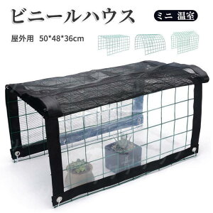 rj[nEX ~j  K[f nEXJo[ OAI  Jo[ ATVF[h Ă~ Ռlbg J ~j @\ |[^u