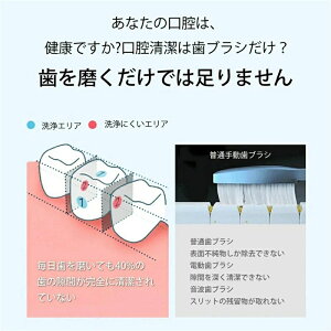 C d @ e800ml ̐ LP h@\ 10iK ƒ