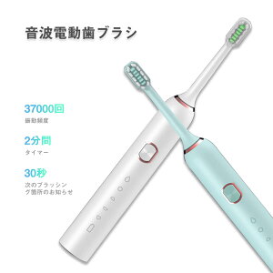 ݂͂ 炩 U e&NƓd IPX7 h\ ȒPɂ Ώ gU   d Ύ 