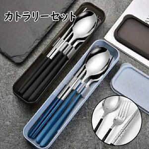 u[P[XtvٓH Jg[Zbg AEghA Lv  Xv[ tH[N 3_Zbg XeX `Zbg l gѕ֗ ʋ ʊw wpH ^ю[P[X