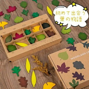 ؂̂ mߋ ς FF AFA2 3 4 5 6 aMtg oYj ؐ t ؂̗t Jt A F eb\[  ^͂ q ubN pY ؐ 