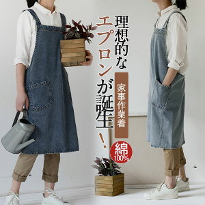 ƖpGv Ɩp n JtF Ԃ邾 | fj fjn Y 100 ۈm 傫TCY 