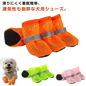 _炩 ^ U EȒP ɂ ̌C ybgV[Y p hbOV[Y ʋC y bVf  C