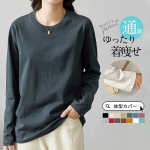 Vc fB[X  Jbg\[ H t  tR[f eB[Vc   JWA ̌^Jo[ Ci[ [EFA